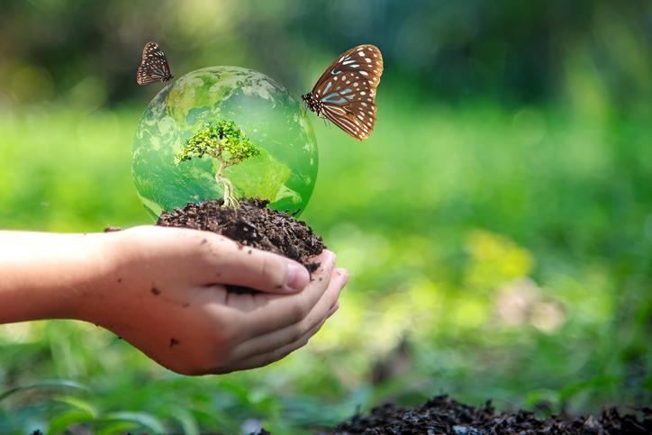Qué es la biodiversidad y por qué es tan importante