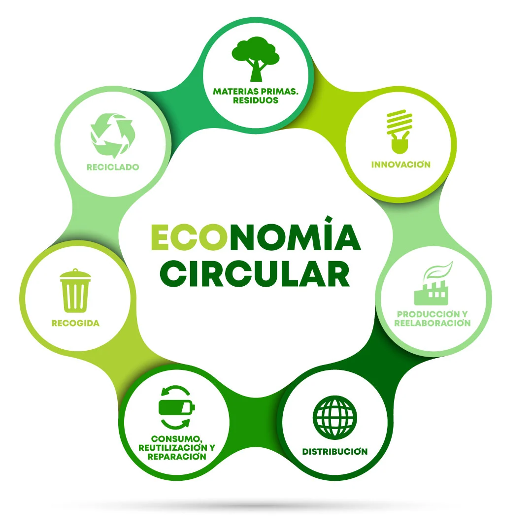 Economía circular: qué es y cómo aplicarla en la empresa